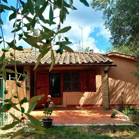 All'Ombra Degli Olivi Pisciarelli Kültér fotó